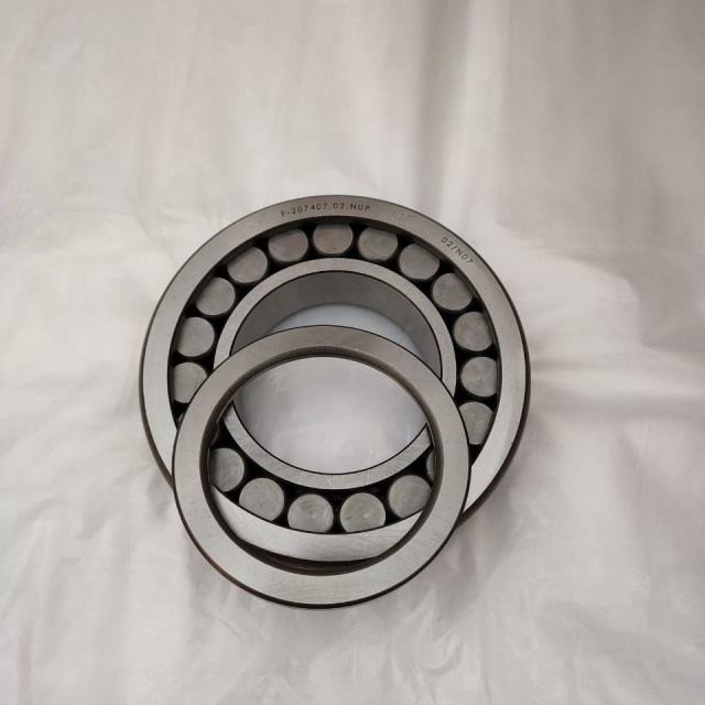 F-207407 Hydraulic pump bearing F-207407.02.NUP cylindrical roller bearing